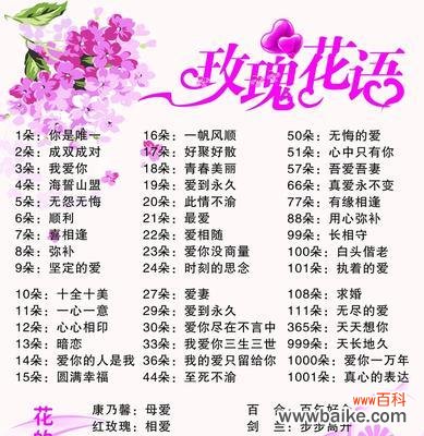 女人节送老师玫瑰花有何深意?