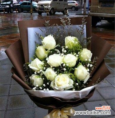 纯洁、真爱、祝福、感恩、无悔的花语 白玫瑰花语的深意