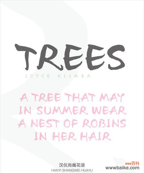 随性淡漠的花语代表什么？它传达了怎样的信息？