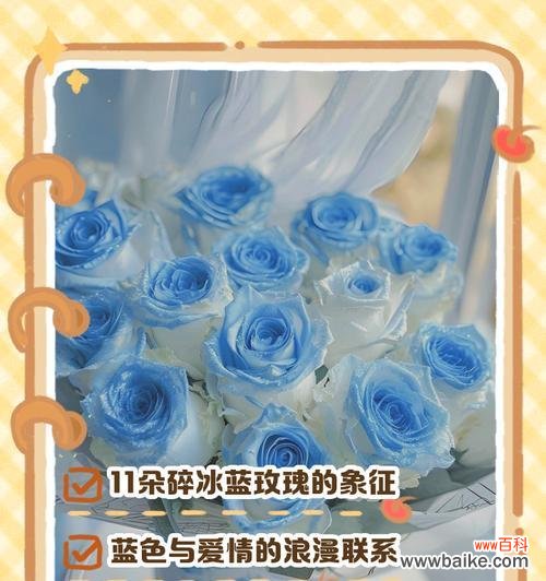 33朵碎冰蓝的花语是什么含义？