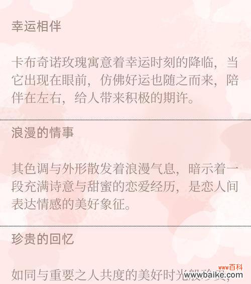 玫瑰花语如何表达爱意?以爱之名有何深意?