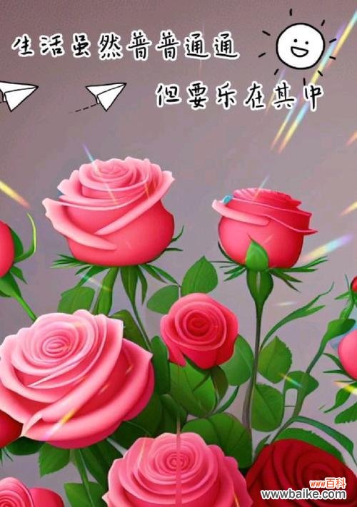 爱的玫瑰花语是什么花啊?玫瑰花代表了哪种爱情?