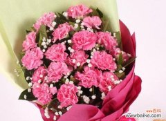 春兰青丝如玉的花语是什么？它代表了哪些寓意？