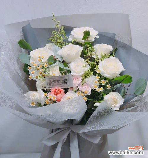 探索白玫瑰的象征意义与文化价值 白玫瑰的美丽和纯洁之寓意