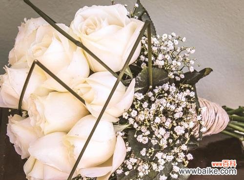 用白玫瑰向世界传达一种纯净而无畏的意义 白玫瑰花语之纯洁与无畏