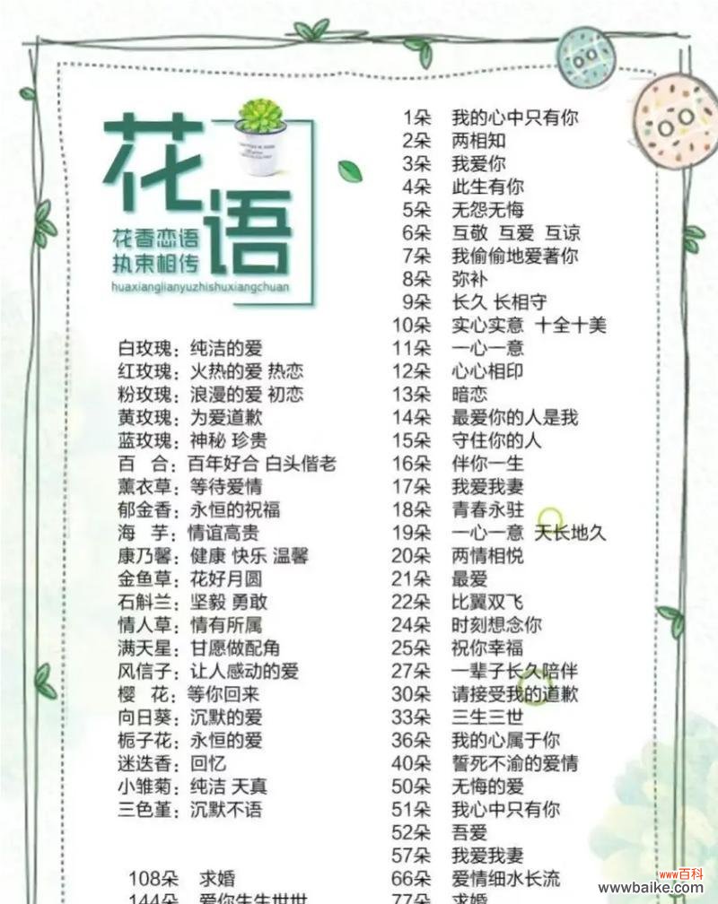 温柔充满希望的花语代表什么？这种花语有何特别之处？