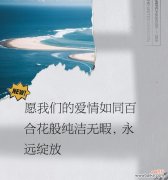 温柔充满希望的花语代表什么？这种花语有何特别之处？