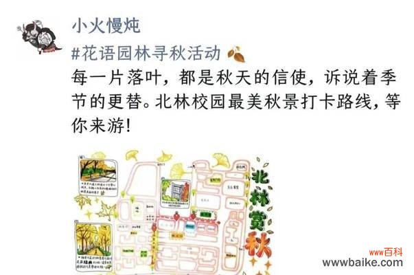 花语满园表达了什么?它有何深层含义?