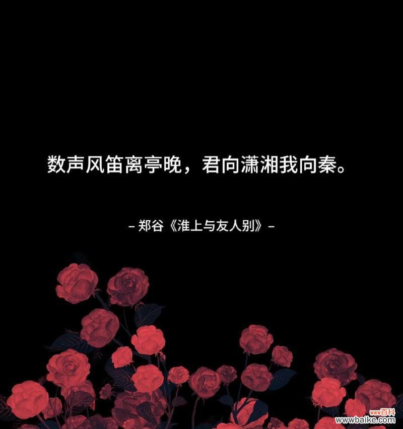 哪种花表达了不舍君别离的情感?花语背后的故事是什么?