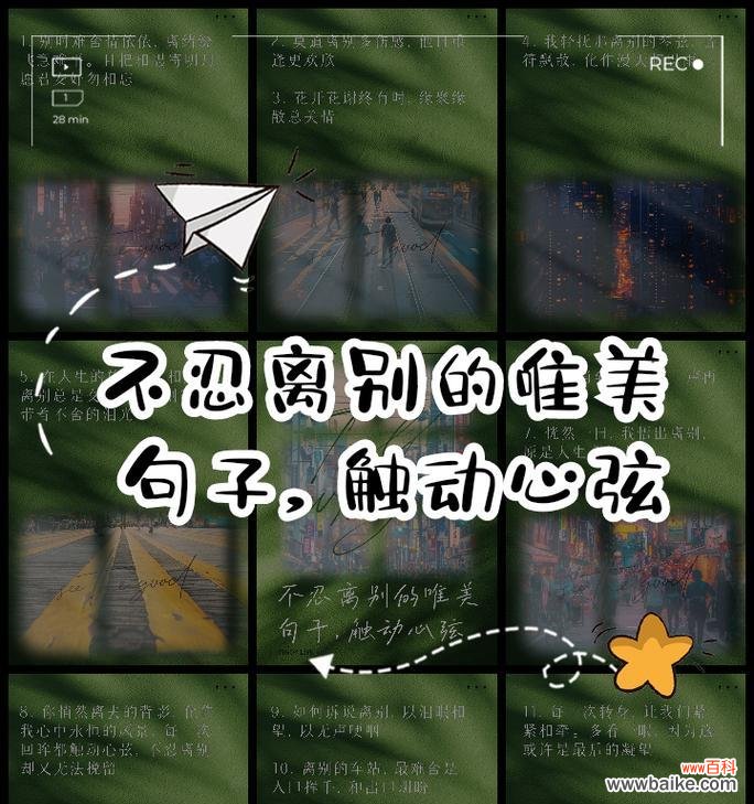 哪种花表达了不舍君别离的情感?花语背后的故事是什么?