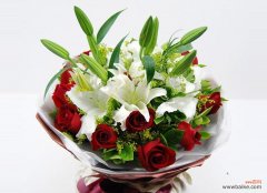 一捧冰淇淋代表了什么花语？这种花语有何特别之处？