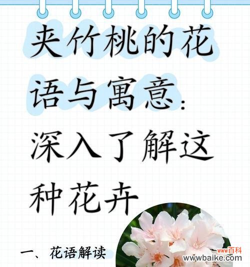 花与花搭配的花语有何深意？如何搭配出最佳效果？