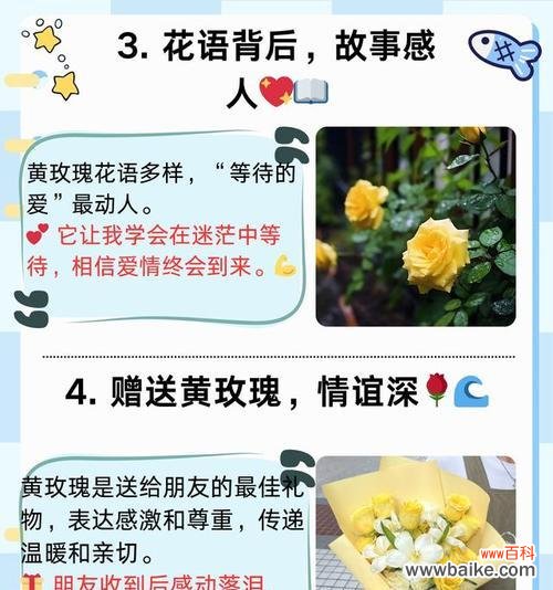 红黄玫瑰组合的花语寓意是什么？它们各自代表什么？