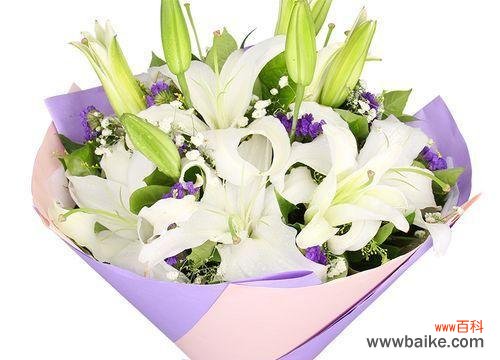 用白色百合花传达真挚情感 白色百合花的花语——纯洁与爱的象征