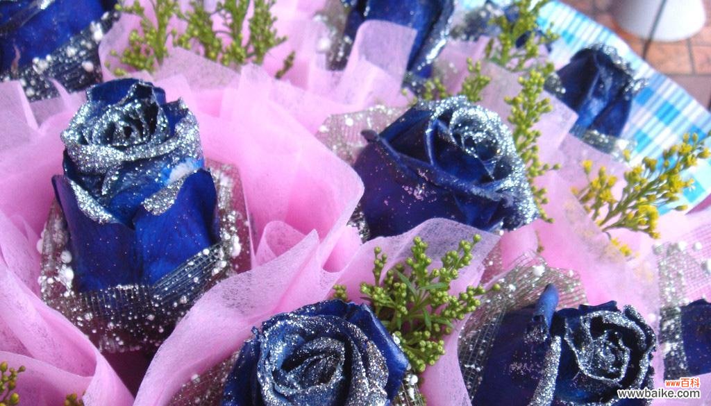 探索蓝玫瑰的神秘魅力与象征意义 蓝玫瑰的花语和寓意