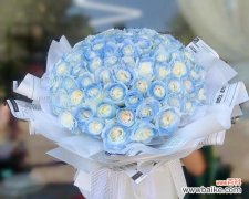 蓝玫瑰的寓意与象征意义 以蓝玫瑰为主题的文章