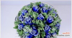 以蓝玫瑰传递无限可能 蓝玫瑰