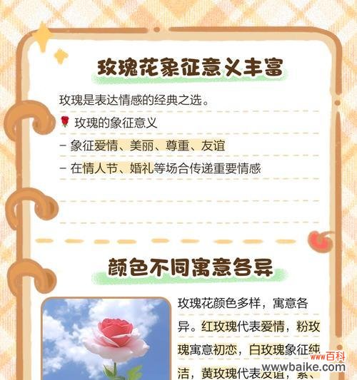 送男人玫瑰花有何含义?一支玫瑰花代表的特殊情感是什么?