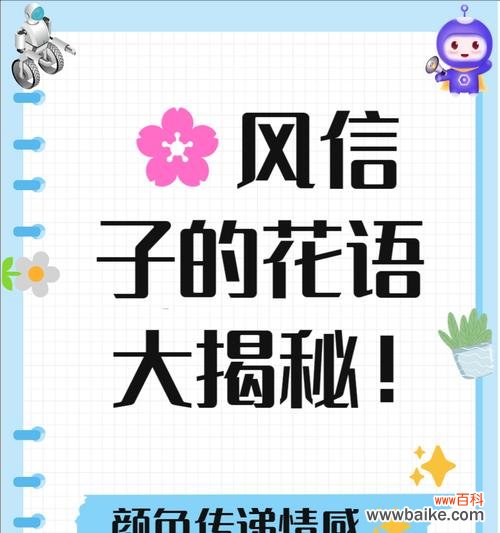 深情偏执的花语是什么呢？它在情感表达中代表什么？