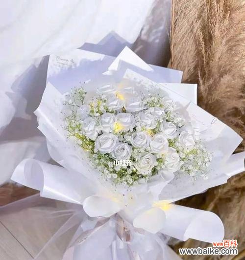 探索白色玫瑰花所传递的感情和意义 白色玫瑰花的花语