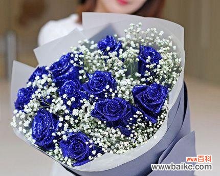 花开寄情 蓝色满天星花语