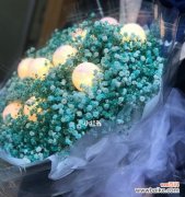 浪漫之美与无尽希望 蓝色满天星花语