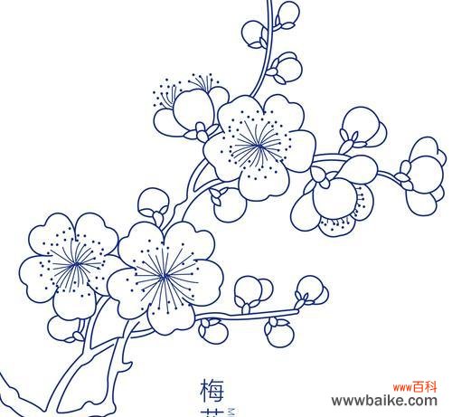 彼岸梅花代表什么意义?花语中蕴含了哪些情感?