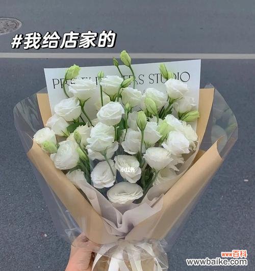 探索白色洋桔梗花的深刻寓意 洋桔梗花语之纯洁与祝福