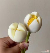 揭开白色郁金香的象征意义和心灵之美 白色郁金香的花语与寓意