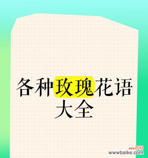 玫瑰花本身携带的花语有哪些?