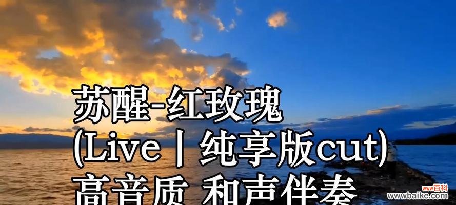 苏醒的玫瑰花语是什么？它代表了哪种情感？