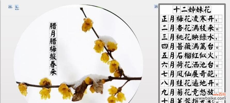 腊梅花的花语是什么？腊梅花好看吗？