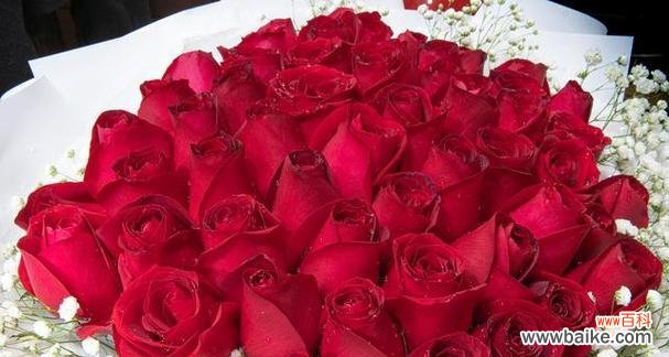 3束玫瑰花花语是什么？开门见牡丹花有什么寓意呢？