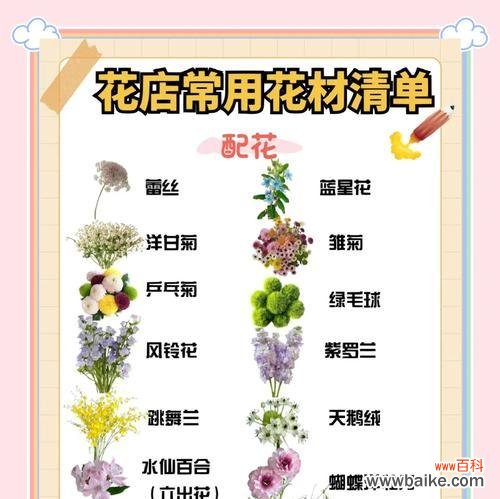 买花时应该注意哪些花语?