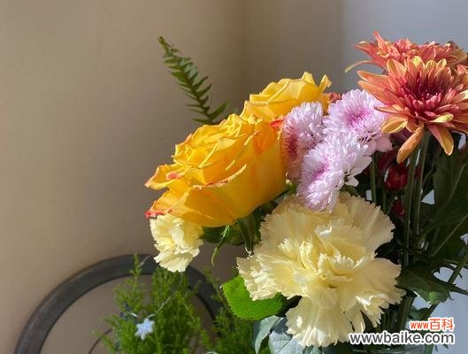 约会玫瑰碎花的花语是什么？碎花玫瑰在约会中的含义？