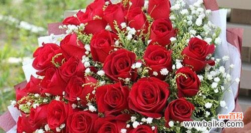 约会玫瑰碎花的花语是什么？碎花玫瑰在约会中的含义？