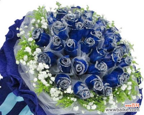 揭秘蓝色妖姬11朵的寓意与象征 以蓝色妖姬11朵代表什么意思