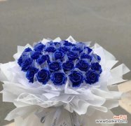 探寻幸福的真谛 以蓝色妖姬的寓意