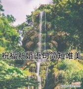 什么花语代表结婚快乐？哪种花是婚礼上的最佳选择？