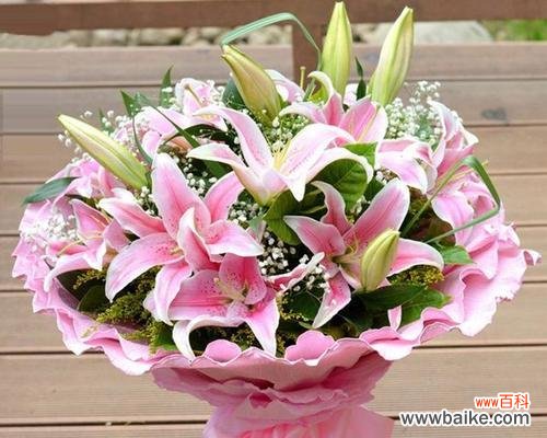 探寻百合花的意义与寓意 百合花