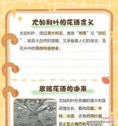 双重含义花语具体指的是什么？