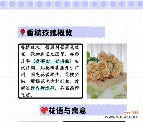 双重含义花语具体指的是什么？