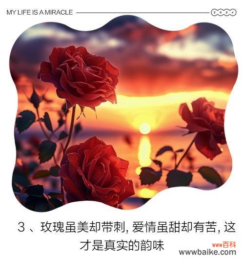 点燃玫瑰花的寓意是什么?送给女生有何特别含义?