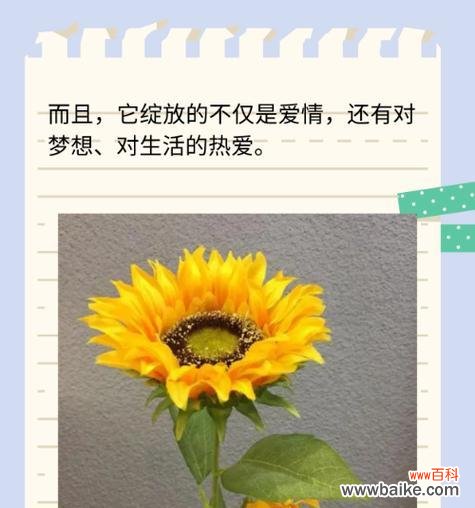 无花草的寓意和花语是什么?