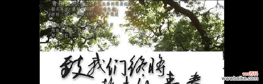 代表青春逝去的花语是什么？