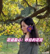 救赎的花语通常与哪些花相关？