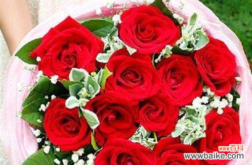 探究玫瑰花象征的多重意义 两朵玫瑰的寓意