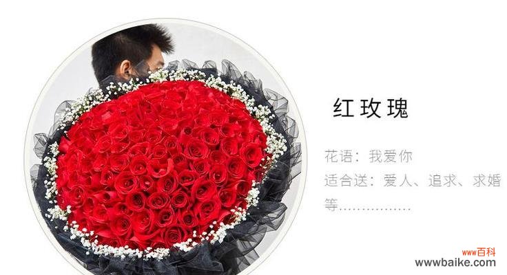 99朵红色玫瑰花的花语是什么？它在表达爱意时的含义是什么？