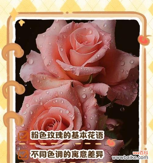 玫瑰花跨年有什么特别的寓意吗?