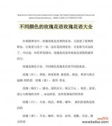 男生采路边的玫瑰花代表什么？路边玫瑰花的花语有何特别之处？